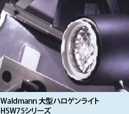 Waldmann 大型ハロゲンライトHSW75シリーズ 