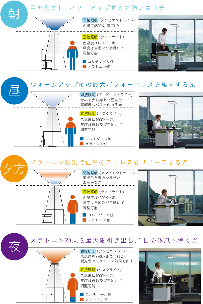 朝 目を覚まし、パワーアップする力強い青白光、昼 ウォームアップ後の最大パフォーマンスを維持する光、夕方 メラトニン効果で仕事のストレスをリリースする光、夜 メラトニン効果を最大限引き出し、1 日の休息へ導く光