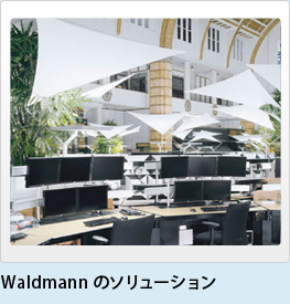 Waldmann のソリューション
