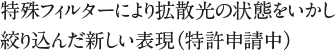 特殊フィルターにより拡散光の状態をいかし絞り込んだ新しい表現（特許申請中）