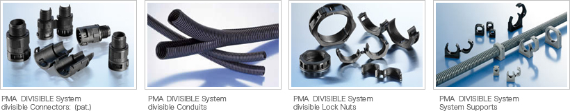 PMA DIVISIBLE System